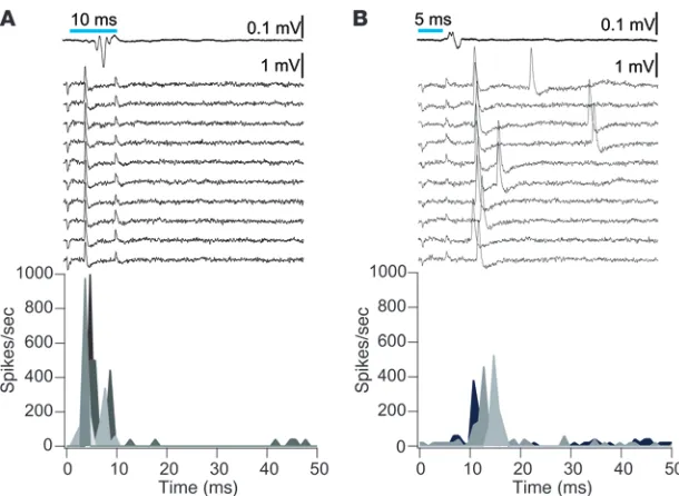 Figure 3Microelectrode recordings from individual neu-