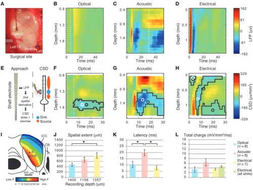 Figure 5Assessment of the spread of cochlear excitation during optogenetic, acoustic, and electrical stimulation with multielectrode array recordings in the IC