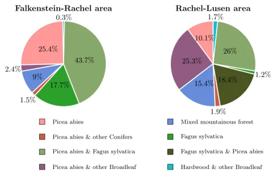 Figure 4: Tree species mixture according to Heurich and Neufanger (2005)