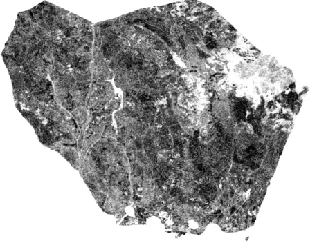 Figure 7: Calculated tree density for the northern part