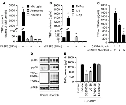 Figure 5rCASP6 induces TNF-(1% DMSO), α release in microglial cultures via MAPK activation