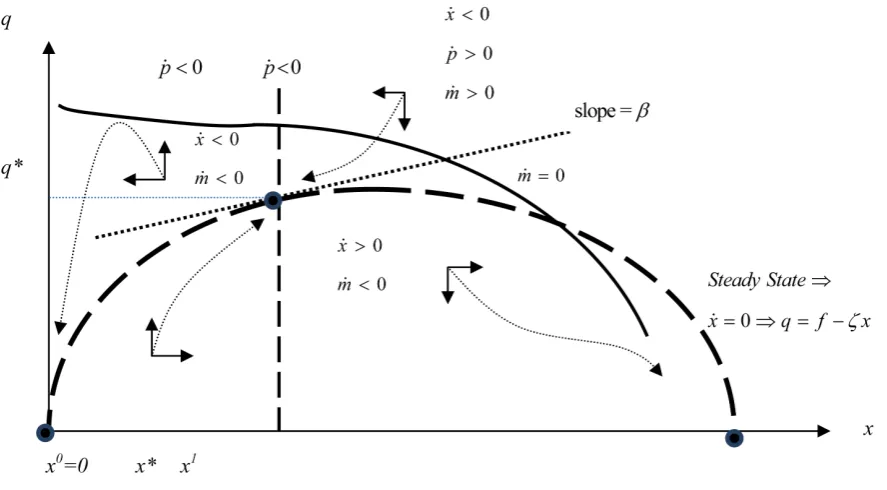 Figure 2. Steady-state optimum when σ2<0.                                                                      