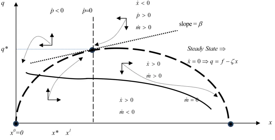 Figure 1. Steady-state optimum when σ2>0.                                                                        
