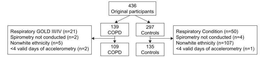 Figure 1 CONSORT flowchart.