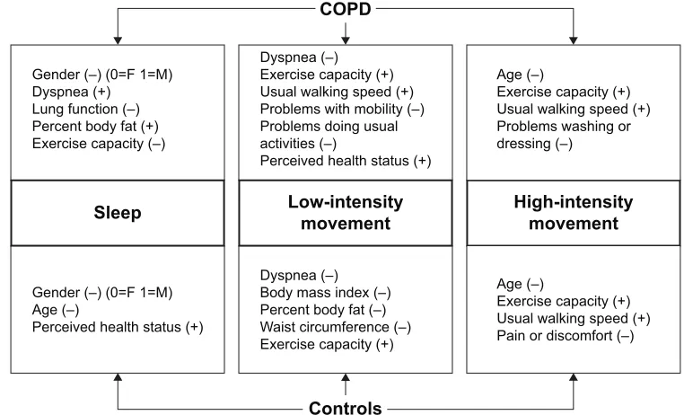 Figure 3 a schematic comparing the characteristics associated with sleep, low-intensity movement, and high-intensity movement for patients and controls.Notes: +, positive correlation between variables; -, negative correlation between variables.Abbreviations: F, female; M, male.