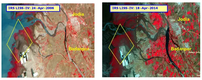 Figure 6. Mangrove regeneration site marked on IRS LISS-IV images near Jodia village.      