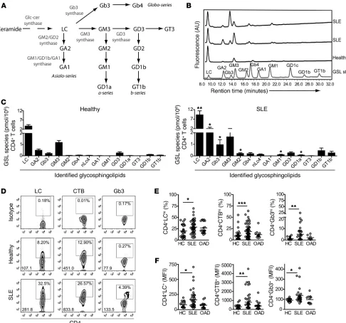 Figure 1Altered GSL profile in T cells from patients with SLE. (A) Scheme showing GSL biosynthesis pathways, indicating some of the enzymes con-trolling biosynthesis