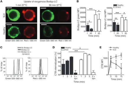 Figure 4Increased recycling of GSLs in T cells from SLE patients. CD4on ice, then washed and cultured for up to 30 minutes at 37°C to allow endocytosis before analysis by confocal microscopy and flow cytometry