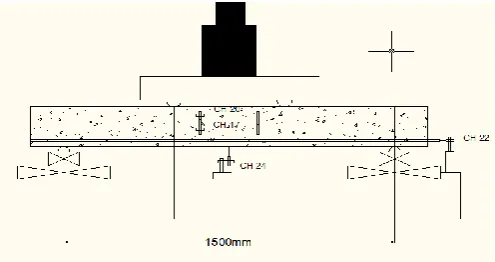 Fig 6. Detailed setting of flexure test  