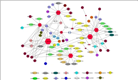 Fig. 3 Global miRNA network interaction. Related DE miRNAs in both approaches with cellular target genes involved in ASFV infection and withviral genes