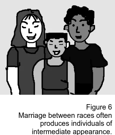 Figure 6  Marriage between races often 