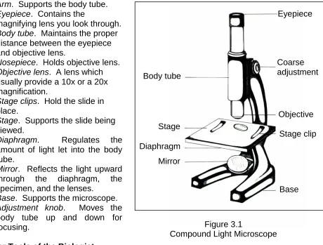 Figure 3.1 Compound Light Microscope 
