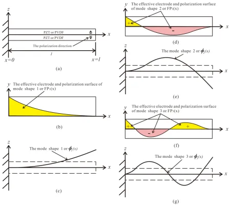Figure 1. (a) The side view of the polarization direction of the bimorph piezoelectric cantilever beam; (b) The top view of the effective electrode surface of mode shape 1; (c) The side view of the mode shape 1; (d) The top view of the effective electrode 