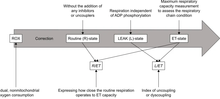 Figure 2 Mitochondrial functioning parameters analyzed in the study.