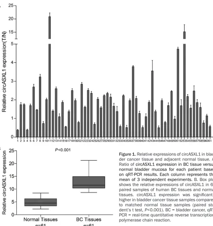 Figure 1. Relative expressions of circASXL1 in blad-der cancer tissue and adjacent normal tissue
