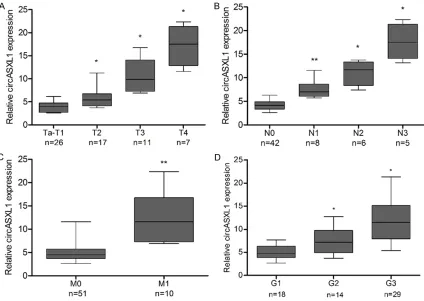 Figure 2. Box plots show the relative expressions of circASXL1 in bladder tumors in terms of T classification (A), N classification (B), distant metastasis (C), or histopathologic grade (D)