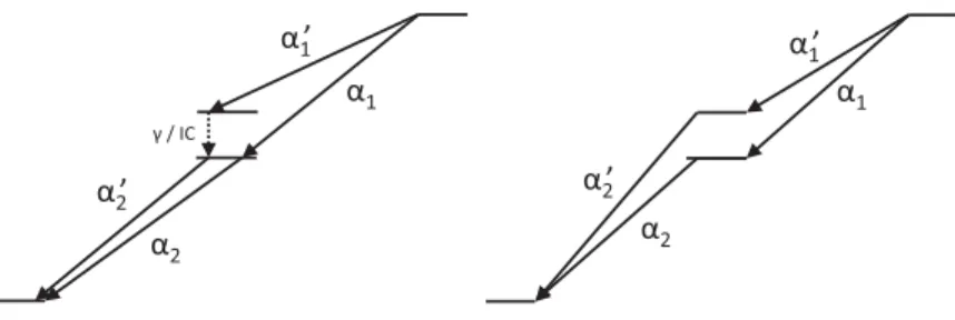 Figure 1. Schematic picture over two possible decay scenarios of a nuclide. The  decays proceed to different states in the intermediate nucleus