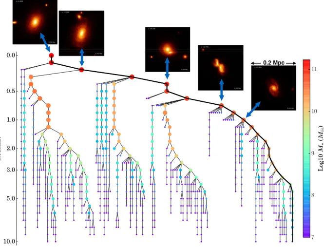 Figure 2. An example of a galaxy merger history. The galaxy has a stellar mass M ∗ = 1.7 × 10 11 M  at redshift z = 0