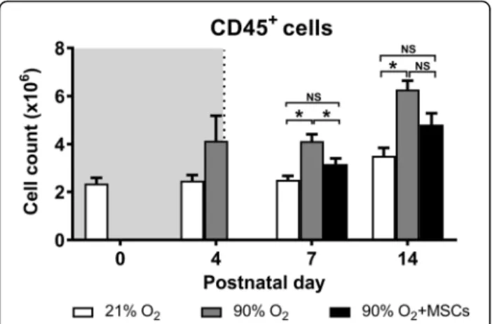 Fig. 3 CD45 + myeloid cell count in lungs from mice following normoxia ( ), 90% O 2 ( ) and 90% O 2 with administration of hMSC ( ) delivered at day 4