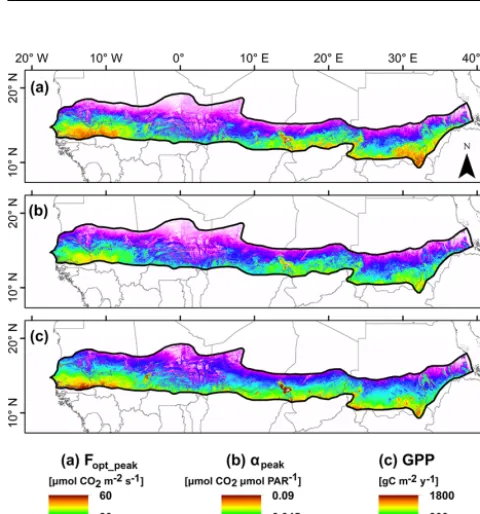 Figure 4. Scatter plots of annual peak values for the six measurement sites (Fig. 1) of(RDVIefﬁciency ( (a) photosynthetic capacity (Fopt_peak) and (b) quantumαpeak) against peak values of normalized difference vegetation index (NDVIpeak) and renormalized 