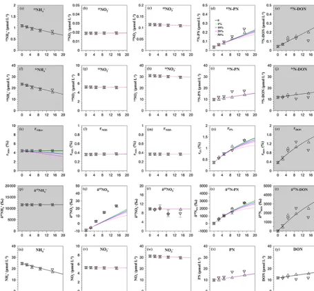 Figure 5. The observed and STELLA-derived values in the high-nutrient case: in the ﬁrst part 80 % sPAR depth and in the second part2 % sPAR depth for (a) [15NH+4 ], (b) [15NO−2 ], (c) [15NO−3 ], (d) [15N-PN], (e) [15N-DON], (f) [14NH+4 ], (g) [14NO−2 ], (h