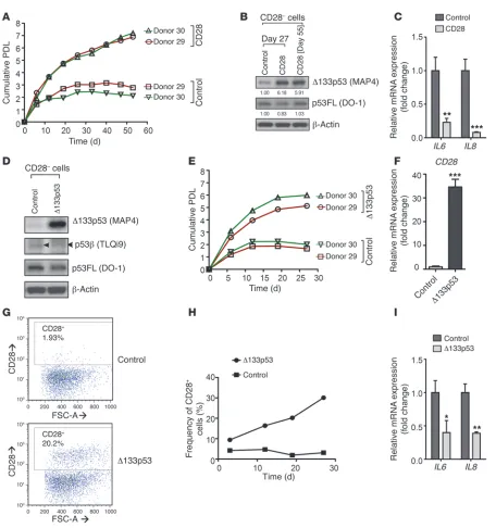 Figure 4Reconstitution of CD28 or of (donors 29 and 30). Cells with control vector are also shown