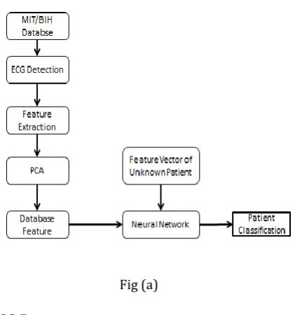 Fig (c): Real time ECG signal 