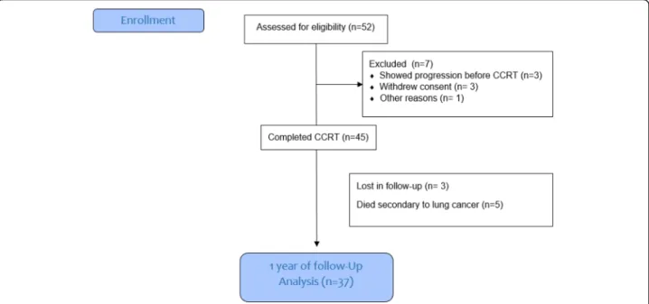 Fig. 1 Consort flow diagram of the patients enrolled in this study