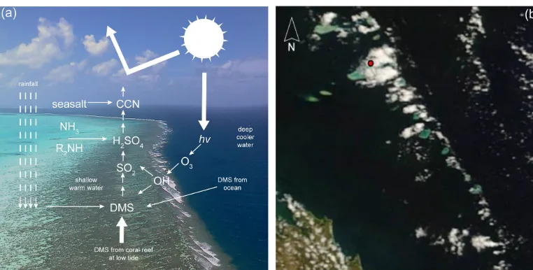 Figure 1. The Capricorn–Bunker Group of coral reefs, southern Great Barrier Reef, Australia (23.13(a)tide are oxidised by photochemically produced hydroxyl radical (OH) forming sulfate aerosol that can grow to cloud condensation nuclei(CCN)