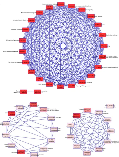 Figure 3 Functional analysis of dysregulated genes identified in COPD epithelial cells by Ingenuity Pathway Analysis (IPA).Notes: The 80 identified dysregulated genes with potential microRNA–mRNA interactions were analyzed by IPA