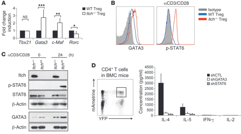 Figure 7Inhibition of Th2 transcription factors rescued aberrant cytokine production of Itch-deficient Treg cells