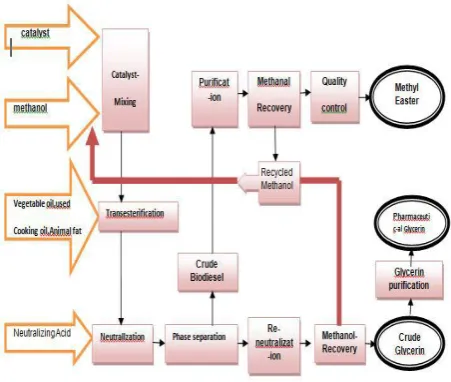 Fig 1. Process of Production of biodiesel  