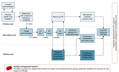 Figure 1 Graphical overview of the COPDnet integrated care model.