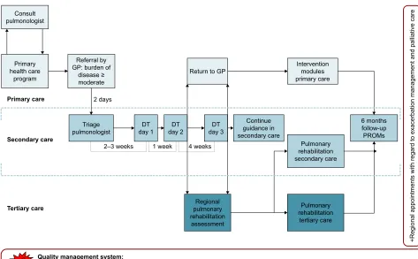 Figure 1 The COPDnet integrated care model.