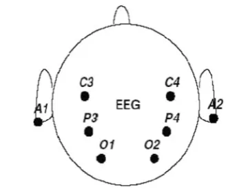 Fig. 1 Electrode placement of EEG recording adapted from [13]