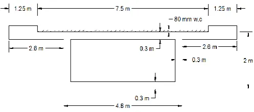 Fig -1: Cross sectional details of the box girder 