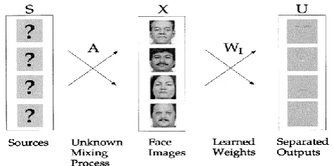 Fig :1.1  A preprocessed image divided into 64 regions   
