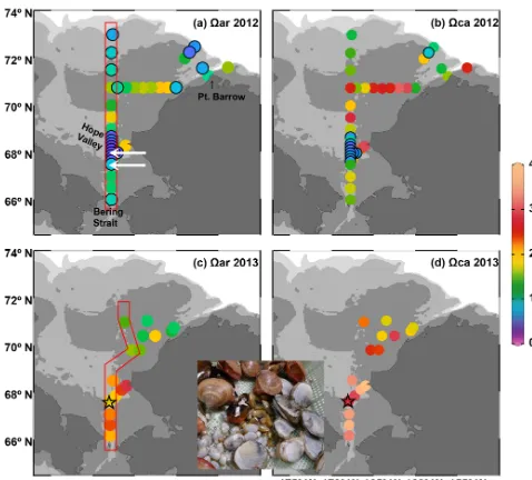 Figure 1. Distribution ofpolygon were used in Fig. 3. White arrows indicate mooring sites.An insert photo shows bivalves collected by a dredge trawl at a sta- �ar (a, c) and �ca (b, d) in bottom wa-ter in September–October 2012 (a, b) and July 2013 (c, d)