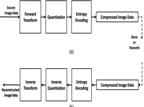 Fig : DCT Encoding Strcuture  