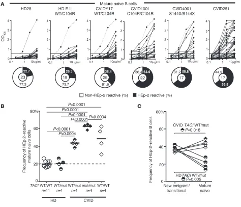 Figure 4A defective peripheral B cell tolerance checkpoint in CVID patients. (A) Recombinant antibodies derived from mature naive B cells from subjects 
