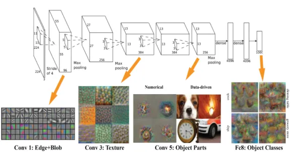 Figure 2.4: An application of AlexNet architecture on ImageNet dataset [1]