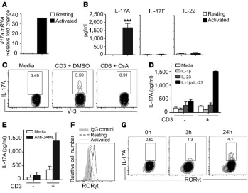 Figure 2IL-17A production by a subset of DETC requires TCR stimulation. ((10 TCR stimulation in vitro