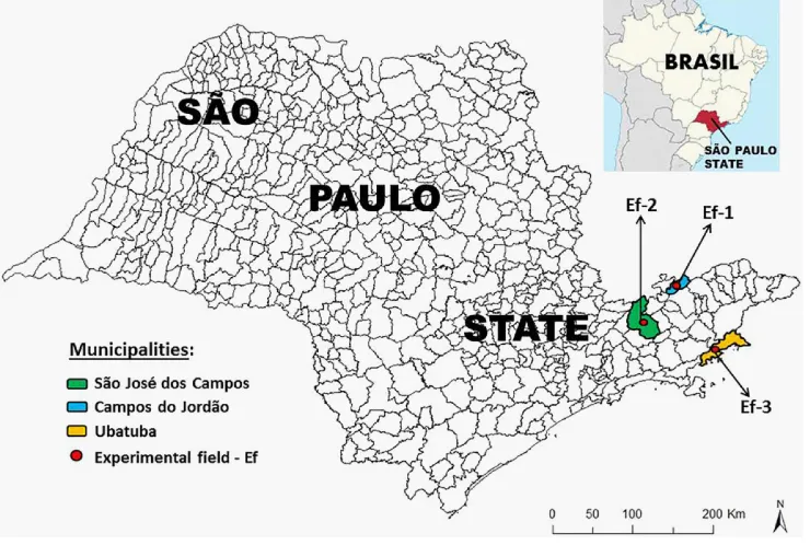 Table 1.  Minimum, maximum and average rainfall annual values of the studied areas. 