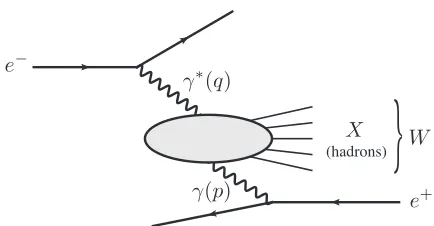 Figure 1. Deeply inelastic electron-photon scattering process.