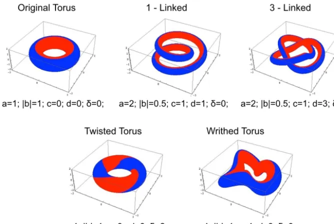 Figure 4. The ﬁrst solid torus to the left shows the original torus. By changing the parameter d to 1 or 3 we obtain a one- or a three-linkedtorus