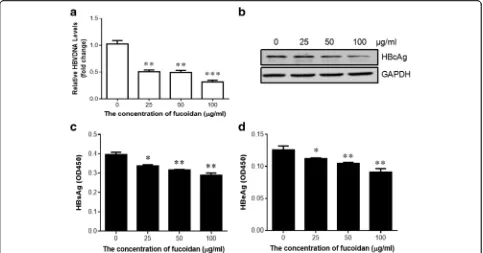 Fig. 3 Fucoidan reduces HBV replication in hepatocyte-derived cells. HepG2 cells were transfected with pHBV1.3 as mentioned