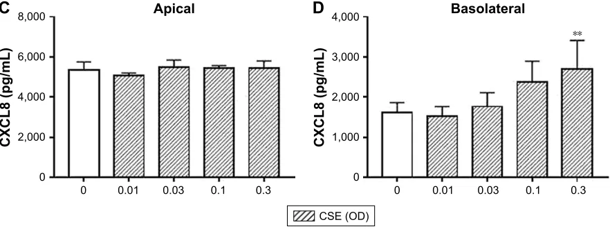 Figure 4 The effect of CSE on cytokine release from Calu-3 cells. Calu-3 cells (n=6) were exposed to Cse (0.01–0.3 OD) for 24 hours and apical (A, C) and basolateral (B, D) supernatants were analyzed for IL-6 (A, B) and CXCl8 (C, D)