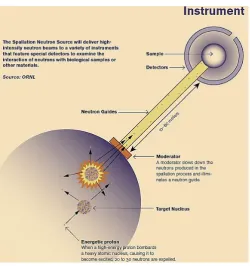 Fig -1:  Spallation Neutron Source (SNS) reaction  
