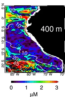 Figure 9. Annual DO harmonic amplitude at 400 m depth. Whitecontours denote the 10, 20 and 45 µM mean oxygen isolines