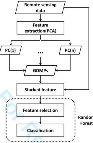 Fig. 1. General workflow of this study.   